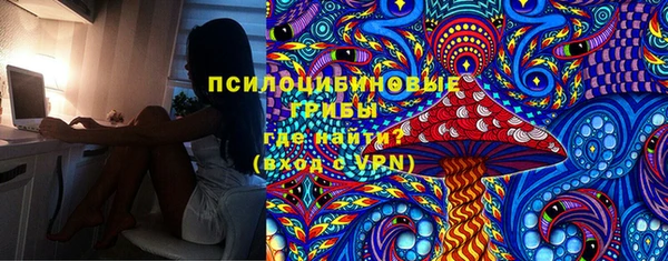 сатива Алексин