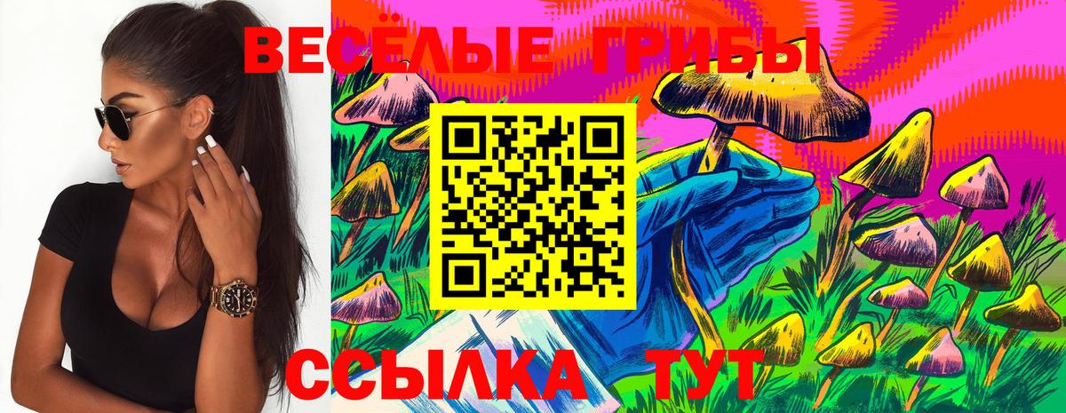 Курск  Псилоцибиновые грибы Psilocybine cubensis  Вход с VPN  Псилоцибиновые грибы GOLDEN TEACHER 