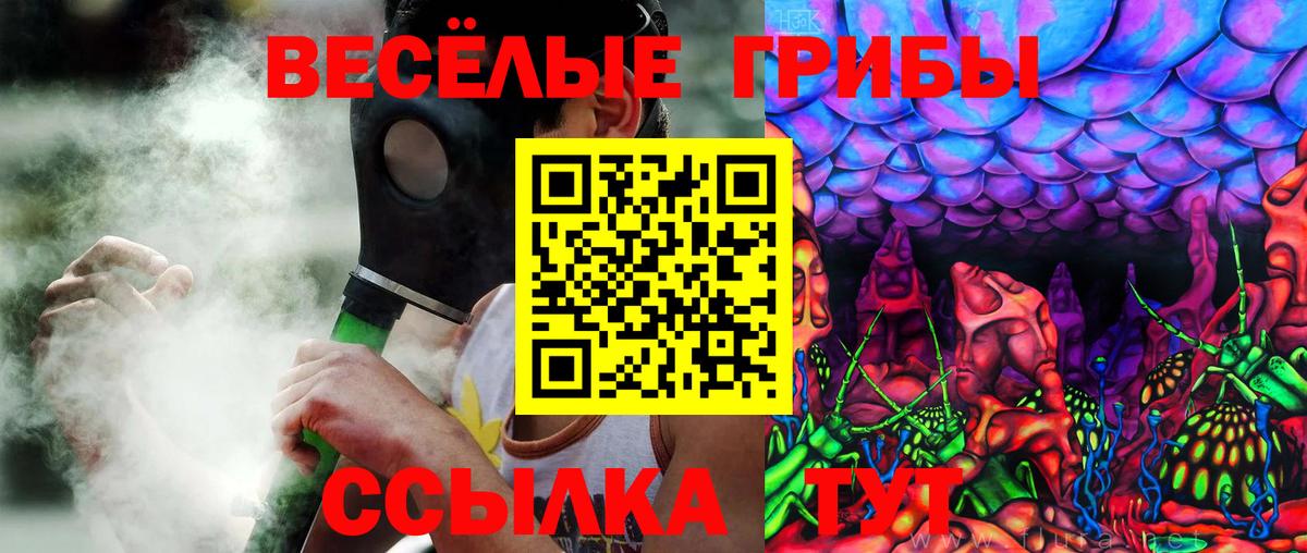 Галлюциногенные грибы Magic Shrooms Курск